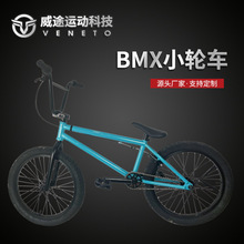 【专业级】14寸bmx小轮车花式街车特技车成人极限运动表演自行车o