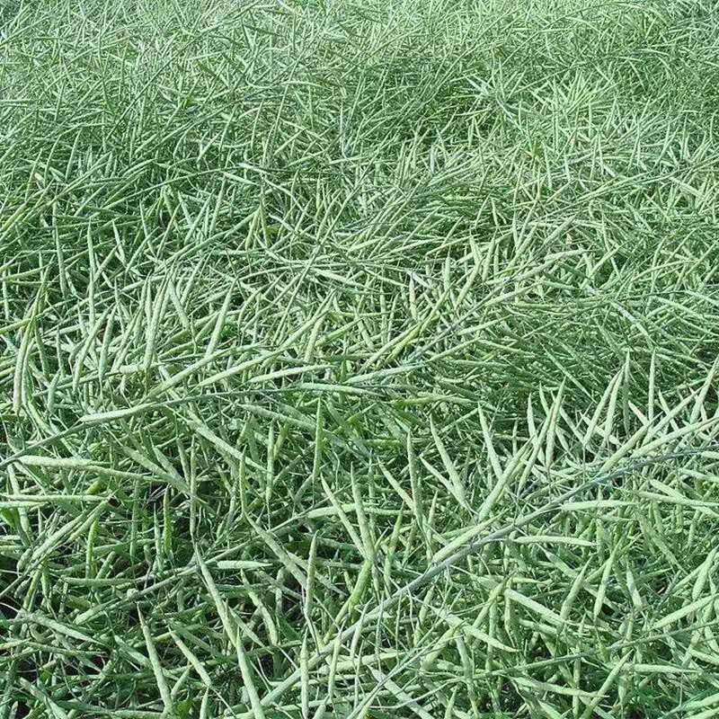 微信图片_20211010192711