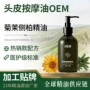 复方养护按摩侧柏精油