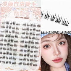 怠け者のための軽い顔の自由まつげ、10列の大容量、自然な母親のような偽のまつげ、フォトジェニックで自然な女の子のようなまつげ