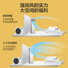 ����ԭװ��'������5ƥ���䷽����յ�LF-120LW/BSN8Y-PA401(B3)A