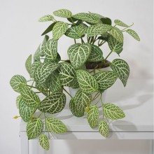 ���R�d����Gֲ3D��ӡ�^�z�W�y�~��ֲ������ ����Gֲ�b�С����