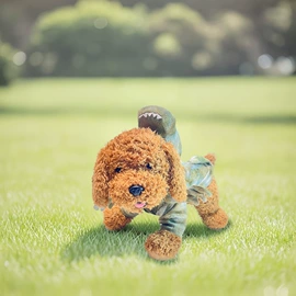 猫猫玩具;狗狗玩具;狗狗服装