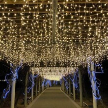 led���l���ֵ��̈���c�M�����b��ٲ������⹤���������ñ��l��