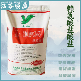 ه�����}���}�������}��ه������ϼ�������I�B����ه�����}���}