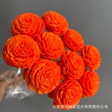 �羳ͨ�ݻ��o�ľ��������ɻ�ins�L�Ҿ��b�DIY�ֹ������ϰ�
