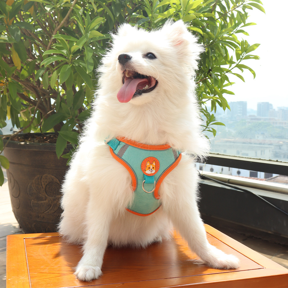Cuerda de tracción para perros, correa para el pecho para mascotas, correa para perros, perro pequeño, pecho para perros lindo, correa para pasear a los perros, suministros transfronterizos
