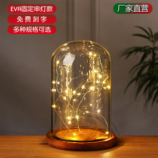 EVA����չʾ��͸�����m�����k��ģ�������������������ֹ��նY