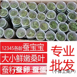 �Q����ɣ�~ι�Q���rɣ�~�Q��1234�g��Ȼ���߲ʌW���B�Q���b���Q�O