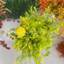 ����ɭϵ�Gֲ�~���nʽ�Sɫ�ٻ���c�廨�b��õ�픾Gֲ���~�G�~