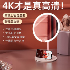 2025新款LED镜子化妆镜台式桌面带灯学生家用补光镜带化妆收纳筒
