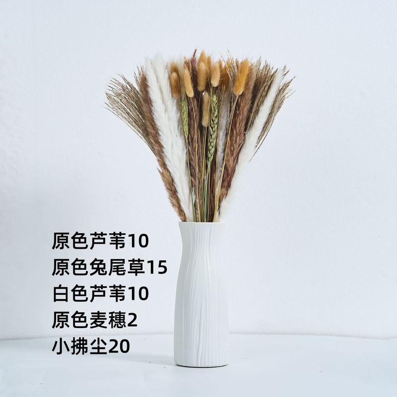 アマゾンはよく売れています。葦の花の花束です。|undefined