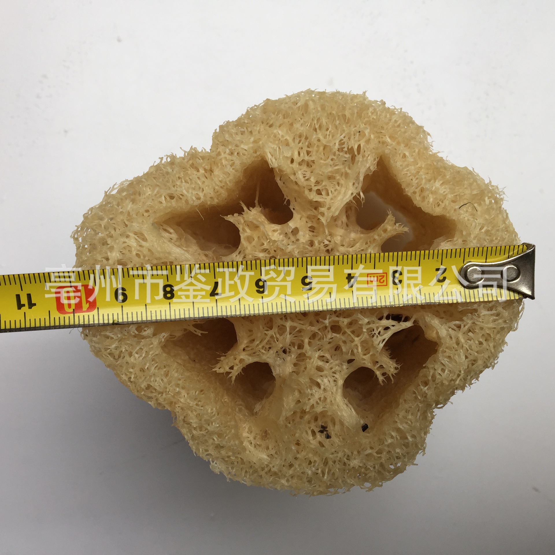 Loofah Sponge Gourd Fiber Si Gua Luo 500g Whole Dried Natural Body Scrub Dish Brush Pet Toy specifications