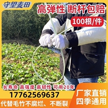 R4玻璃钢纤维杆拱杆小拱棚支架蔬菜大棚骨架保温棚爬藤架菜地秧苗