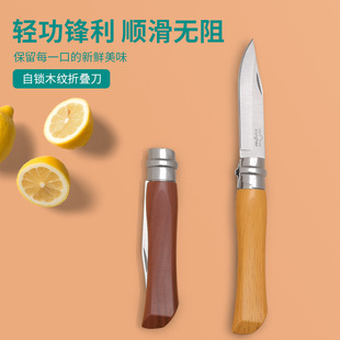 Cross-Border Outdoor Camping Knife, Portable Foldableing Knife, Household Peeling Knife, Stainless Steel Sharp Fruit Knife