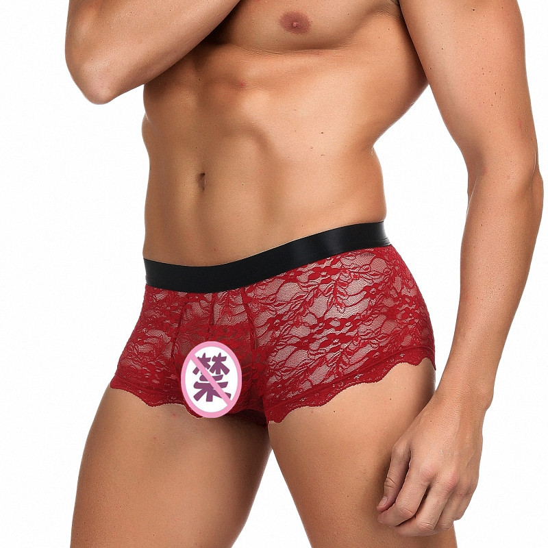Ropa interior sexy de los hombres de comercio exterior de Europa y América sexy boxeadores de encaje cintura baja Perspectiva de encaje Amazon venta al por mayor 073