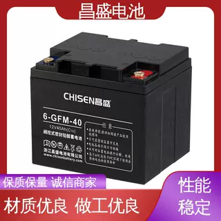 昌盛 6-GFMJ-40 eps应急电源 铅酸蓄电池 玩具电源 批发