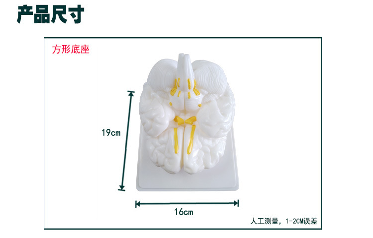 O1CN01jo4Tm22Kk6Xk9SYew_!!3578