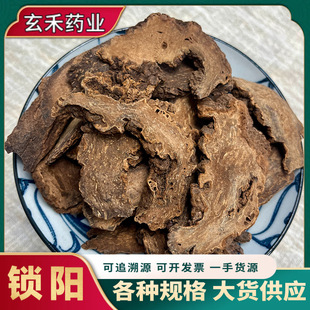 ��ș���i����l�����Ƭ������ș�Ŀɴ�ĥ������ă����l���ݵ���