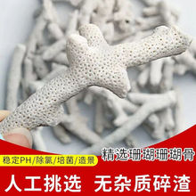 珊瑚骨过滤材料鱼缸超白天然砂培菌造景水族装饰底沙