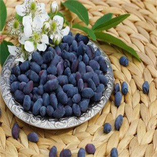 �{����� ɽ������ �{������� �������� ��Ϲ������Ʒ�N�{�����