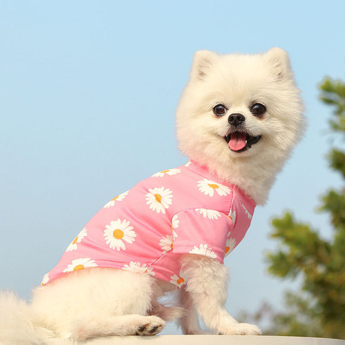 Dogs and cats clothes spring, summer and autumn new style for travel pet supplies teddy bear poodle small medium dog daisy internet celebrity 