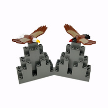 С������ľ��ӥ ��ӥ�������������ݼ���60307���37543pb0