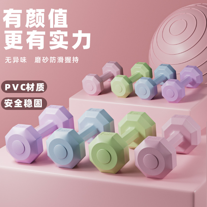 Dumbbell Women's Fitness Equipment Home Barbell Kettlebell Kidsren's Female Small Dumbbell 2kg Pair Exercise Strength Training