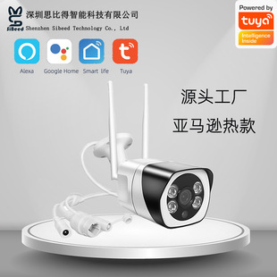Outdoor 2 Million Pixel Graffiti Camera Supports Two-Way Audio, Night Vision, Full-Color Security Monitoring, Oem Full-Color Night Vision