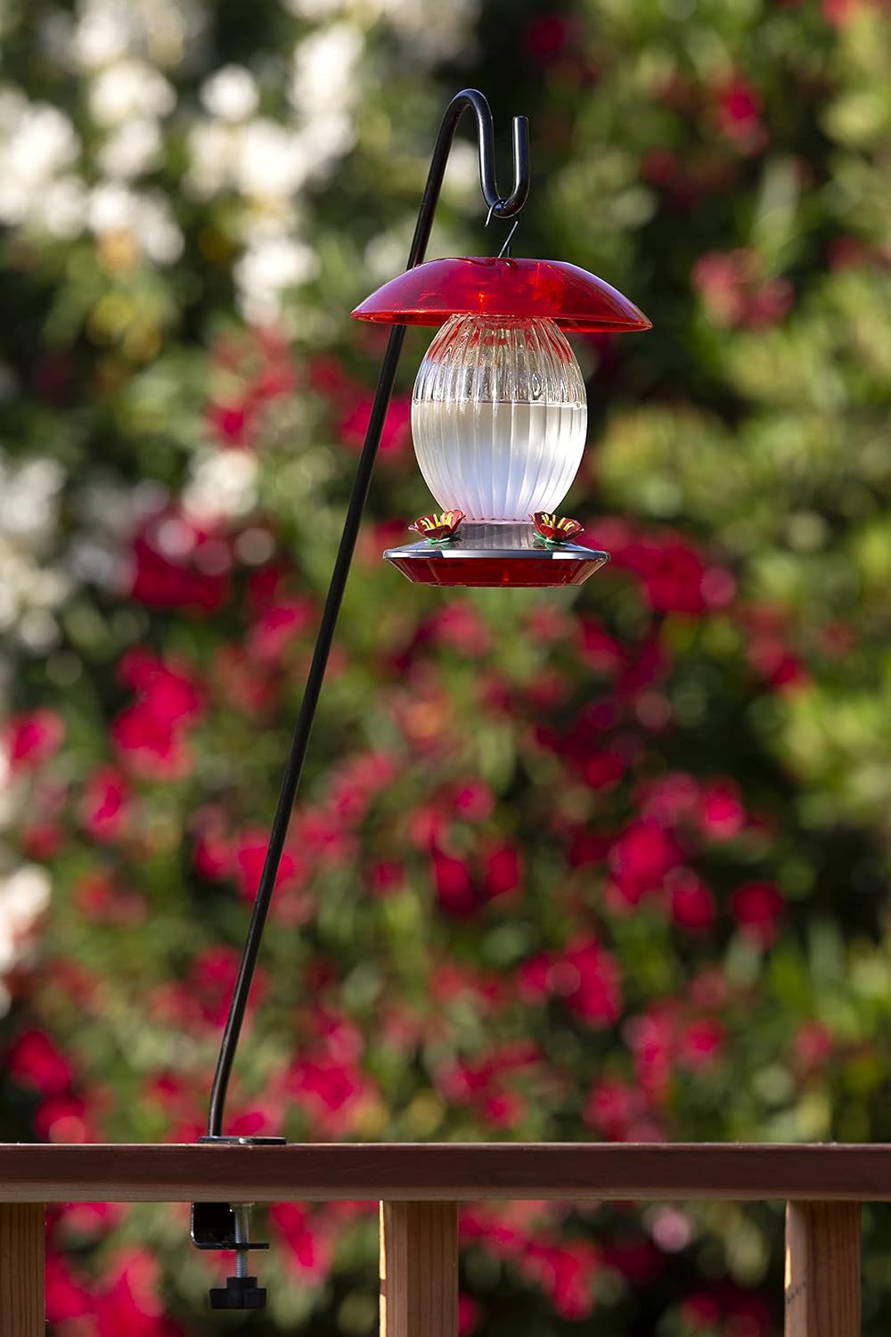 一键复制_20240612205919