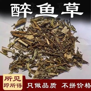 ���~����ș�� 500�� �]�~�� �~β����ș���~��ꖰ�����β��ș�U��