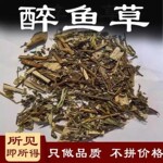 醉鱼草中药材 500克 闭鱼花 鱼尾草中药醉鱼草阳包树雉尾花药杆子