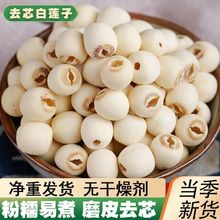 湘潭糯莲子无干燥剂无芯磨皮无熏硫百合银耳羹食用煮粥饭店批发