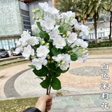 白色茉莉花婚庆仿真花 3叉茉莉花 蔷薇花海棠花婚礼软装假花批发