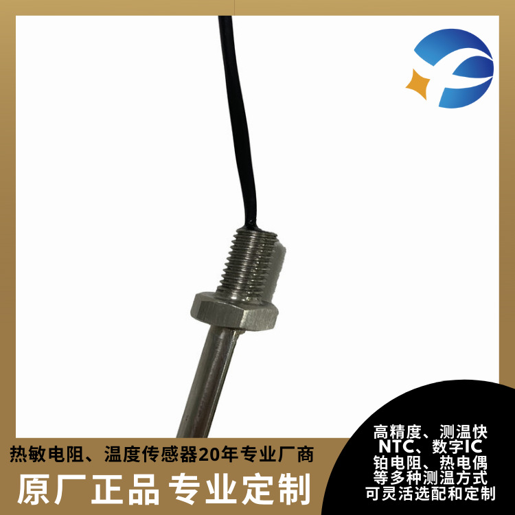 铂热电阻不锈钢螺纹管法兰PT100工业设备控制温度传感器 掌柜推荐