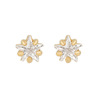 Brand golden earrings, goods, jewelry, zirconium