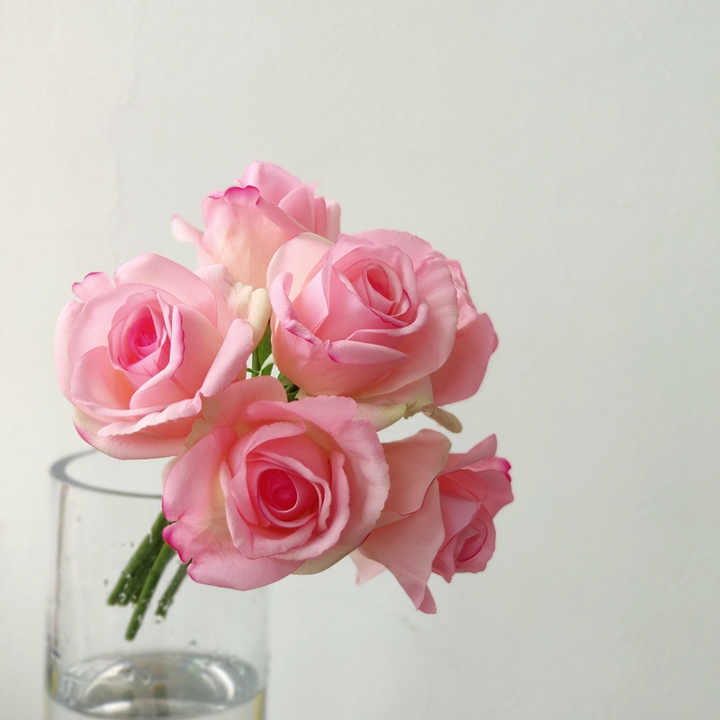 Crystal Pink feel moisturizing rose artificial flower decoration silk flower artificial flower bouquet living room decorative flower flower arrangement