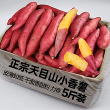 ���r�����t���R����ĿɽС������Ş��С�����ع�����С�t��������