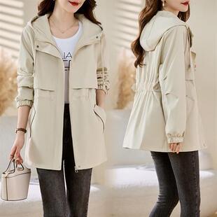 �����e�ٴ�̿��L��Ů2025�����¿���K�����@�ݹ��b�Bñ����