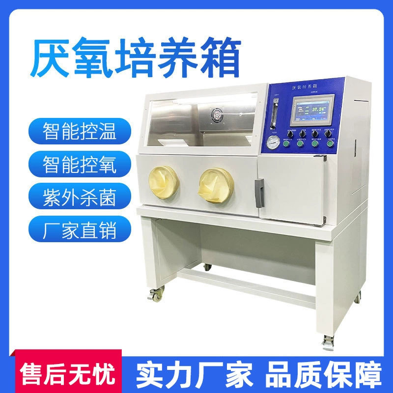 Анаэробные инкубаторы Лаборатория Анаэробные инкубаторы Анаэробные анаэробные системы культивирования бактерий