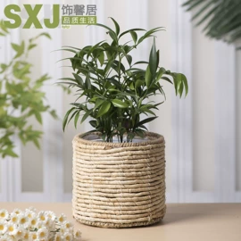 灯罩;收纳篮/筐;花盆容器