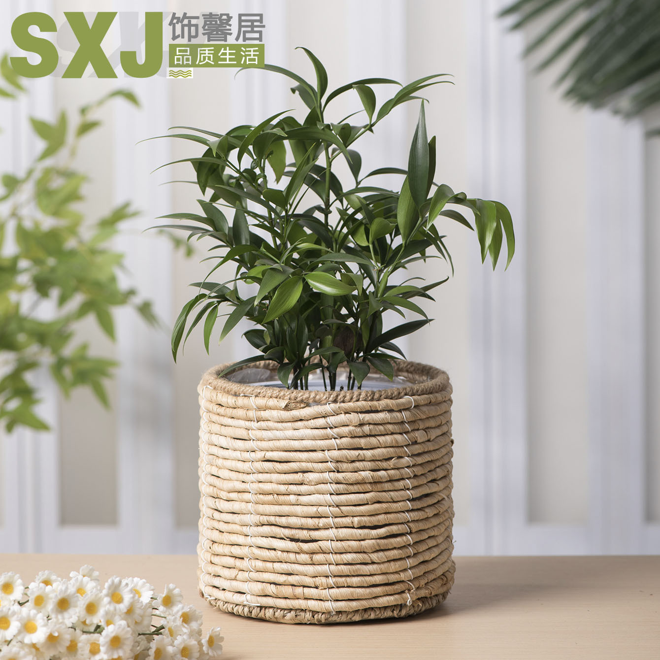 Nórdico simple tejido maceta de flores redonda cestas de flores verdes cestas de hierba de plantas grandes macetas decorativas para el hogar