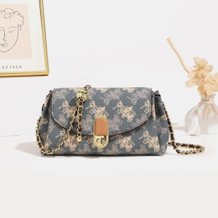 Internet Celebrity Versatile Niche Commuter Chain Small Bag for Women 2024 New High-End Texture Fashion Single Shoulder Crossbody Bag