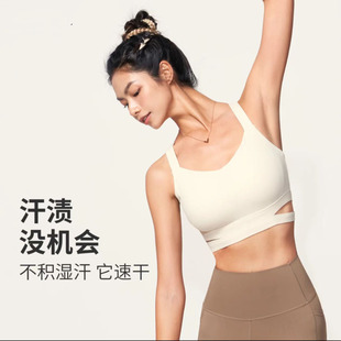 Cross-Border Breathable and Comfortable Seamless Sports Bra with Beautiful Back Design, Padded, Shockproof, Gathering Fitness Wear for Yoga