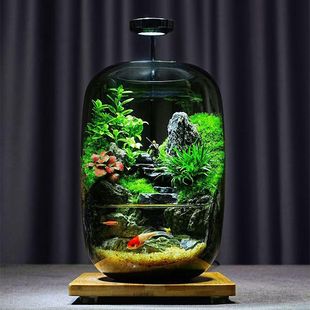 Step by Step Desktop Moss Micro-Landscape Ecological Bottle Black Myth Wukong Potted Plant Creative Ornaments Office Plants