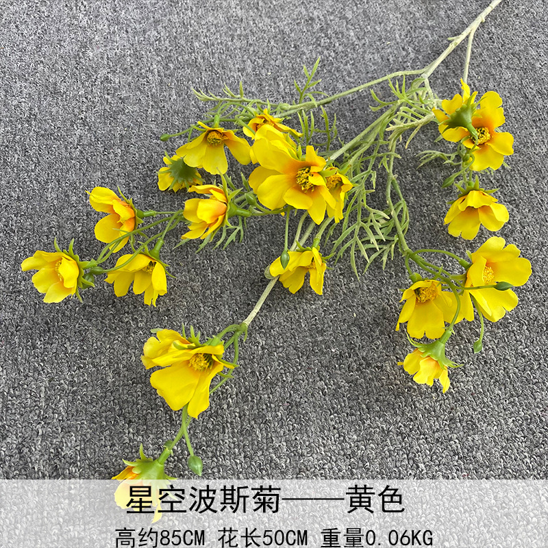 Cosmos estrellado amarillo