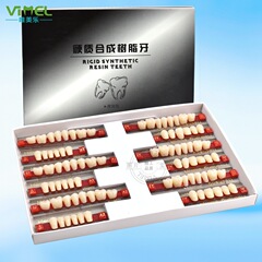 クロスボーダー専用硬質合成樹脂歯全口義歯プラスチック樹脂入れ歯a2号学生練習歯磨き