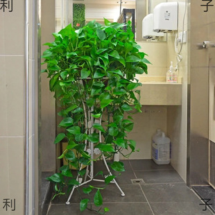 G}LّҒGֲk҃ȴ~Gjˮ໨ܺBLlֲ