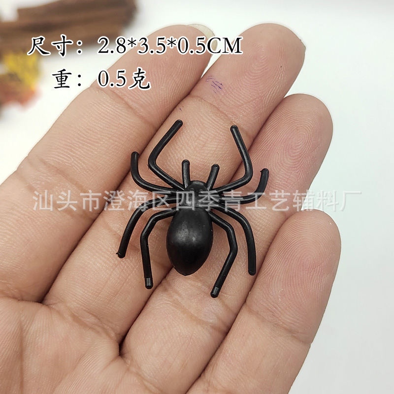 3.5cm spider