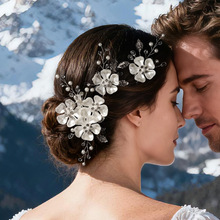 �羳�����^�ɫ����l�A�l�����b�nϵ��Y�ֹ�����P�l��߅�A